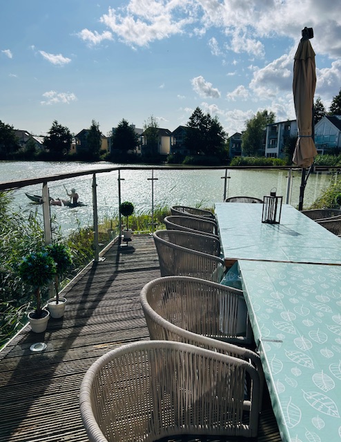 Outdoor deck with wicker chairs and a table overlooking the serene waters of Lamplight Island, where a graceful swan glides by. Houses and trees line the opposite shore under a crystal-blue sky.