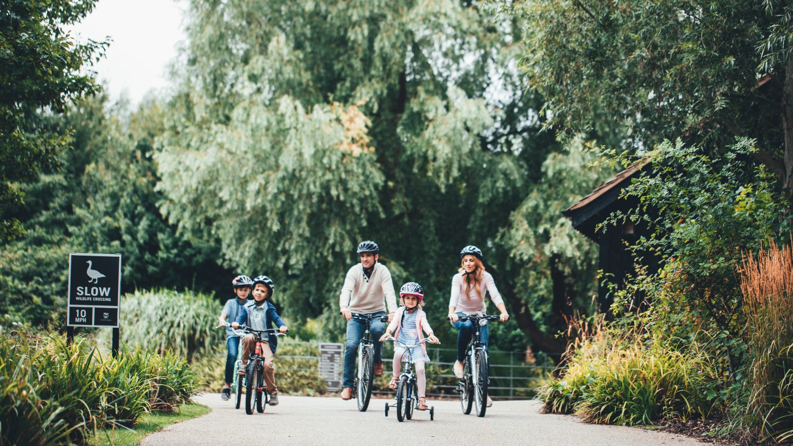 A family of five cycles under the lamplight on Lamplight Island, clad in helmets and casual attire.