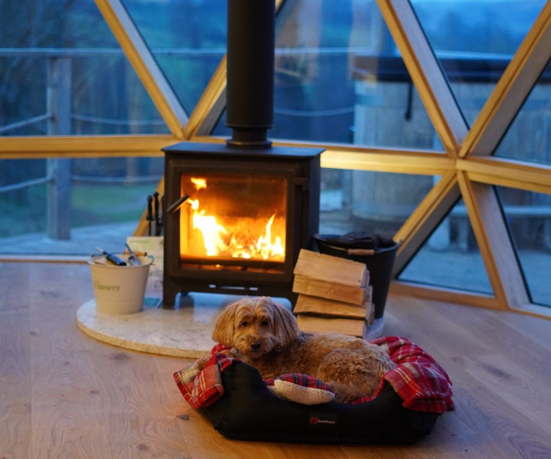 A small dog rests by a wood stove in The Nova Dome at The Fold, with the fire casting a warm glow through large glass windows.