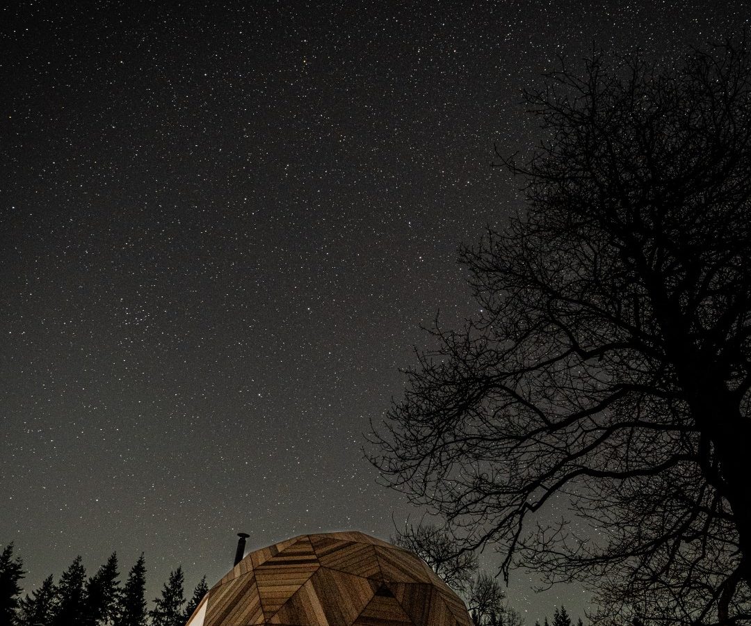 The Nova Dome at The Fold glows under a starry sky, silhouetted by trees.