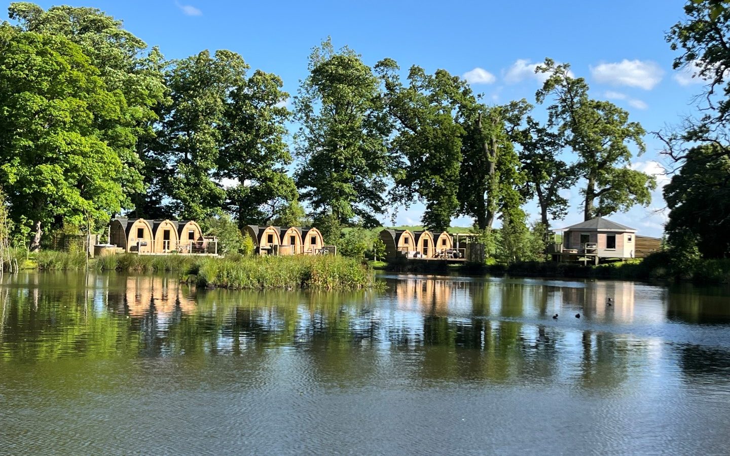 A serene lakeside scene with several wooden cabins reflecting on the water, nestled near a Blossom Plantation. Tall trees with green leaves line the shore under a clear blue sky.