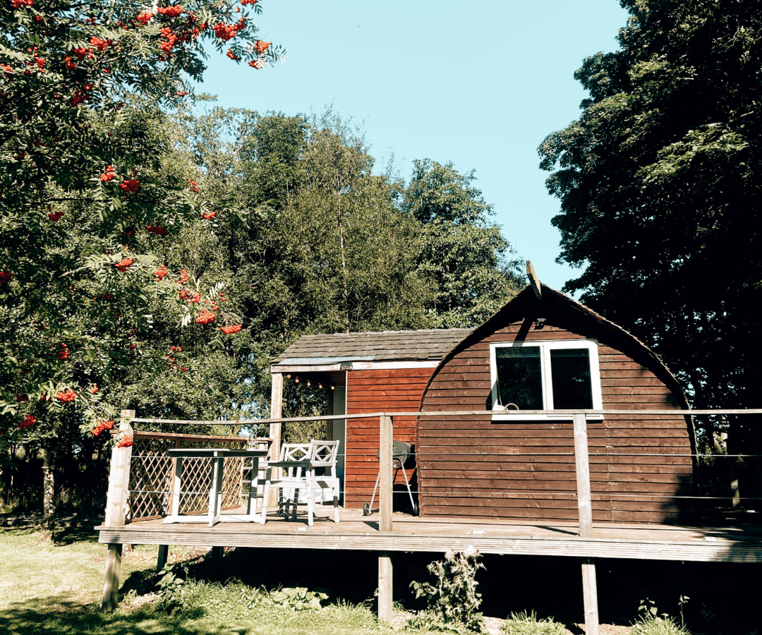 A small, wooden cabin with a curved roof sits on a raised deck surrounded by lush greenery. A tree with clusters of red berries blossoms in the foreground. The sky is clear and bright blue.