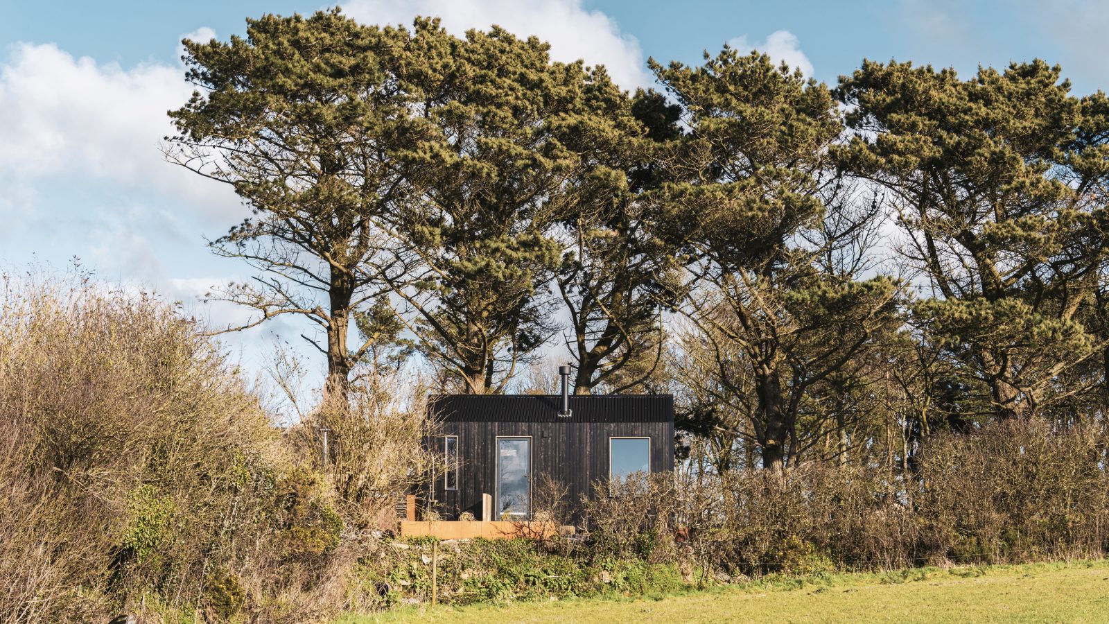 A modern, black tiny house sits nestled among tall trees and dense shrubbery on Bogee Farm, with a clear blue sky above. The house features large windows reflecting the greenery surrounding it. In the foreground, there's a grassy field leading up to this perfect countryside lookout.