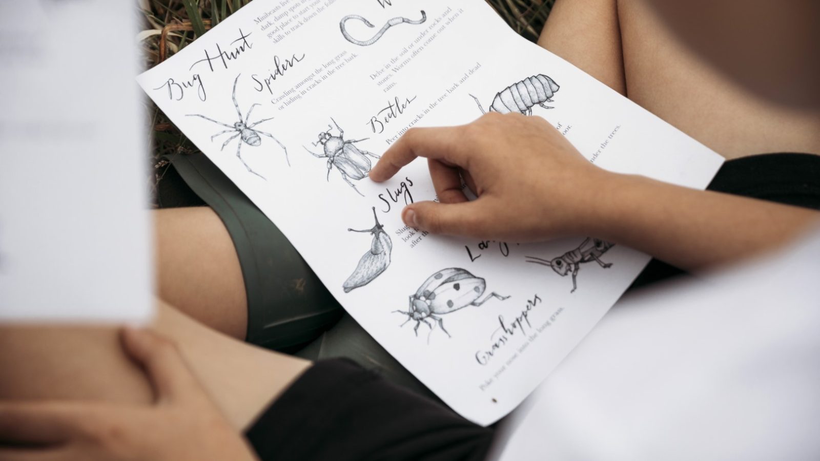 A person is pointing at a detailed illustrated guide of insects, which includes drawings and descriptions of various bugs such as spiders, beetles, and worms. Sitting outdoors on grass near a safari tent, they have the guide laid on their lap for easy reference.