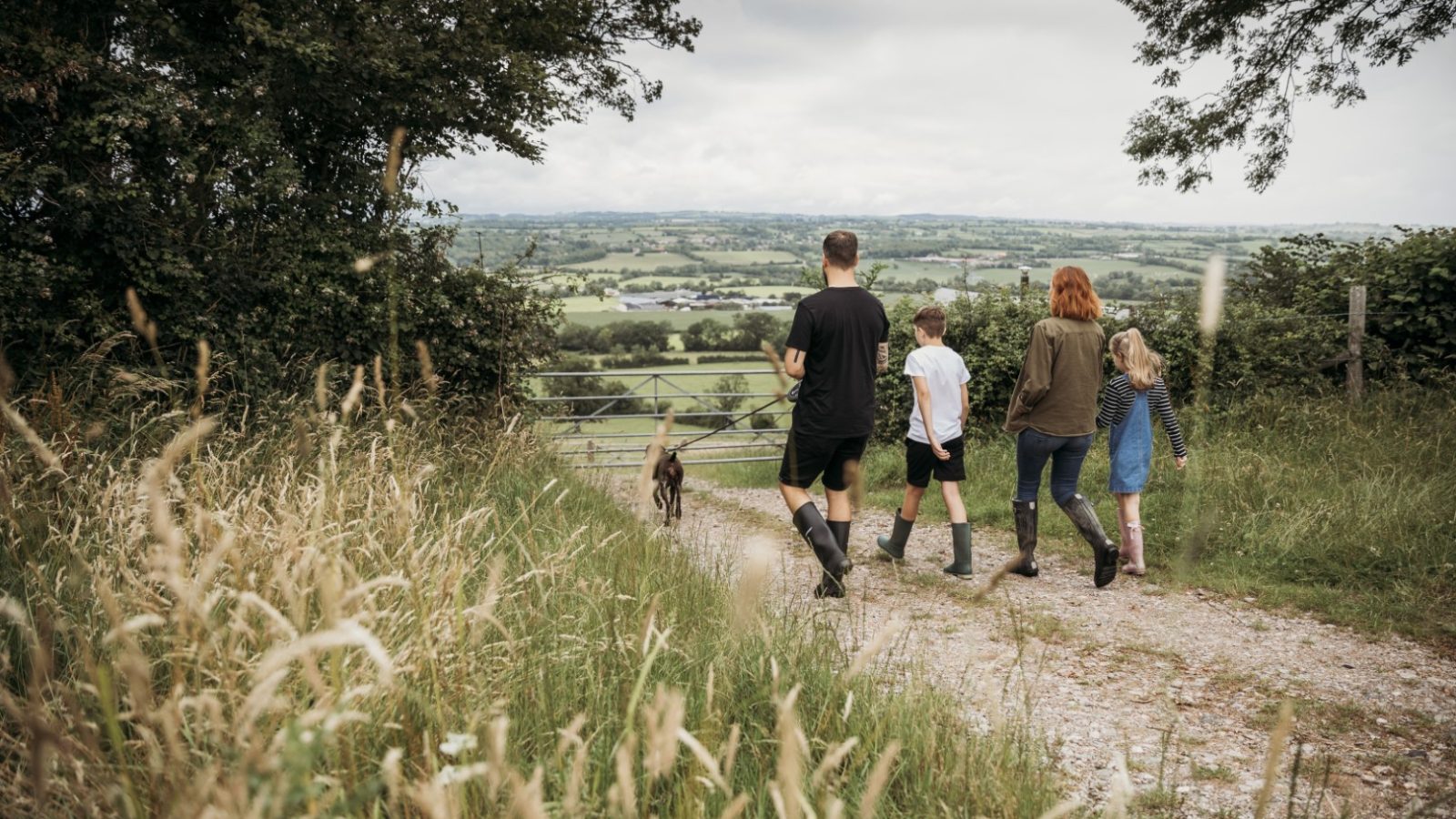 A family with two adults and two children, along with a dog, walk down a dirt path surrounded by tall grass. They are heading towards a closed gate with a scenic countryside landscape visible in the background. Some trees frame the path, giving it an adventurous safari-like feel.