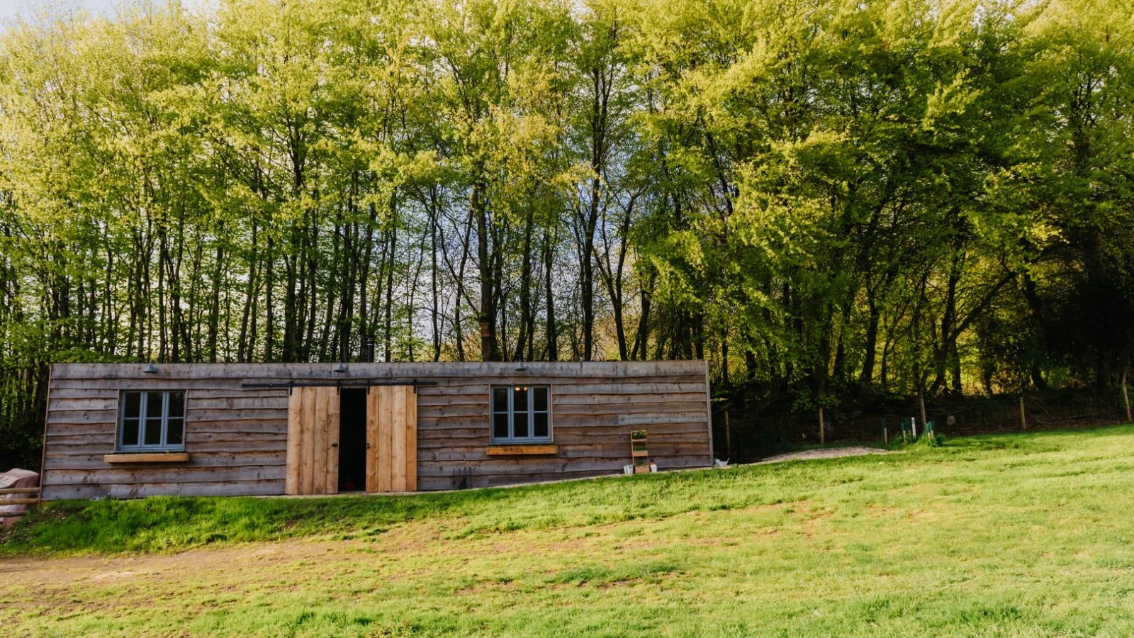 A rustic wooden cabin with two small windows and a large double door stands in front of a dense forest of tall, green trees. Surrounded by diverse flora, the cabin is situated on a gently sloping grassy hillside under a clear, bright sky.