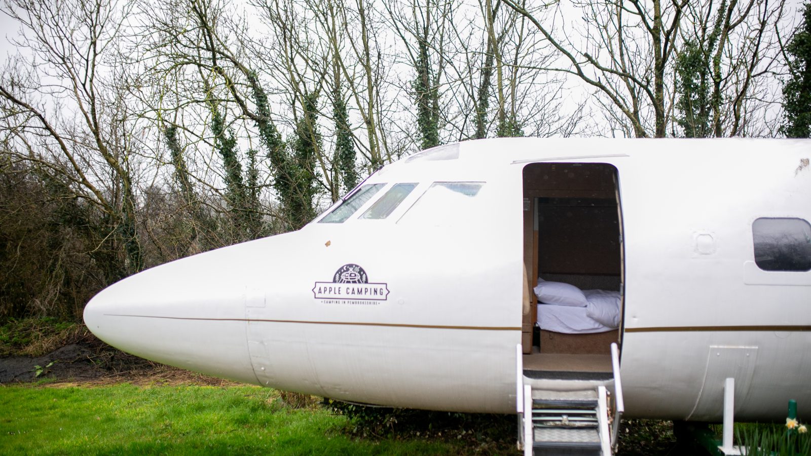 A repurposed airplane fuselage with an open door and steps leading inside is set in a grassy area with leafless trees in the background. The aircraft, labeled 