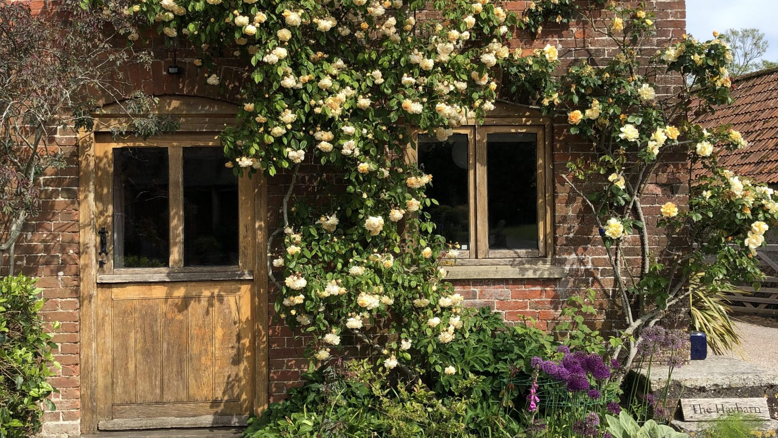 A rustic brick building with a grey slate roof, partially covered in a blooming climbing rose plant with yellow flowers. The wooden door has small glass panes, and the front is bordered by lush green foliage and a few tall purple flowers—reminiscent of the charm found at Pennard Farm Cottages.