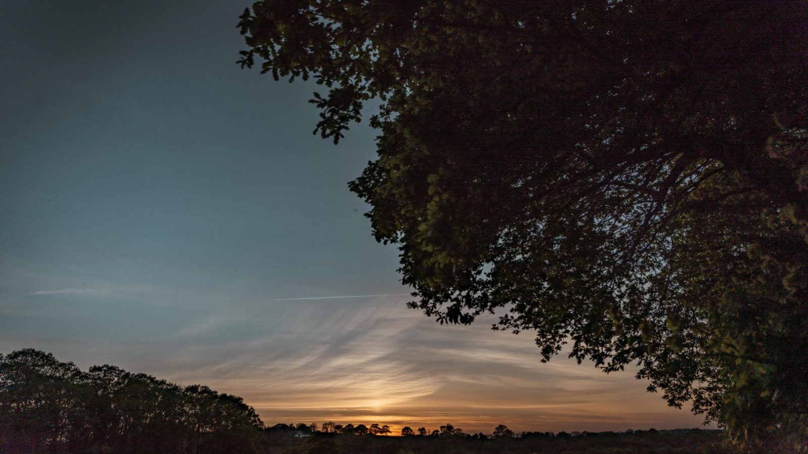 A picturesque Honeydown sunset with the sun partially visible on the horizon. The sky displays a gradient from orange near the sun to dark blue higher up. Silhouettes of trees frame the scene, with a large, detailed tree on the right and smaller trees in the distance.