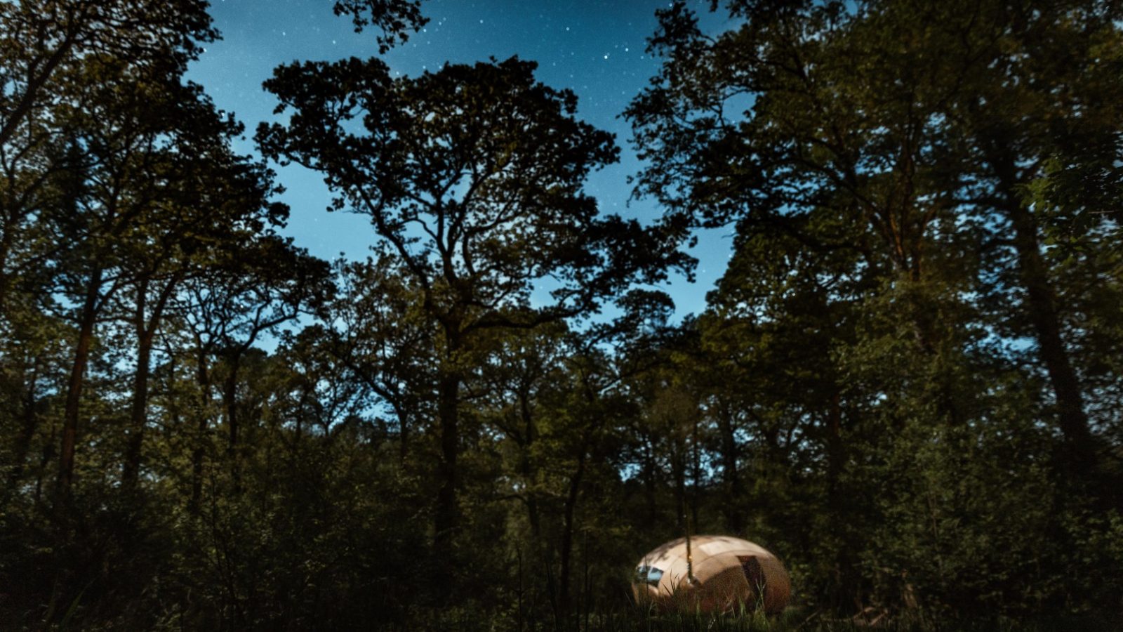 A Honeydown dome-shaped tent is nestled amidst dense, tall trees under a starry night sky. The forest is dark and mysterious with shadows cast by moonlight, providing a serene and secluded camping atmosphere.