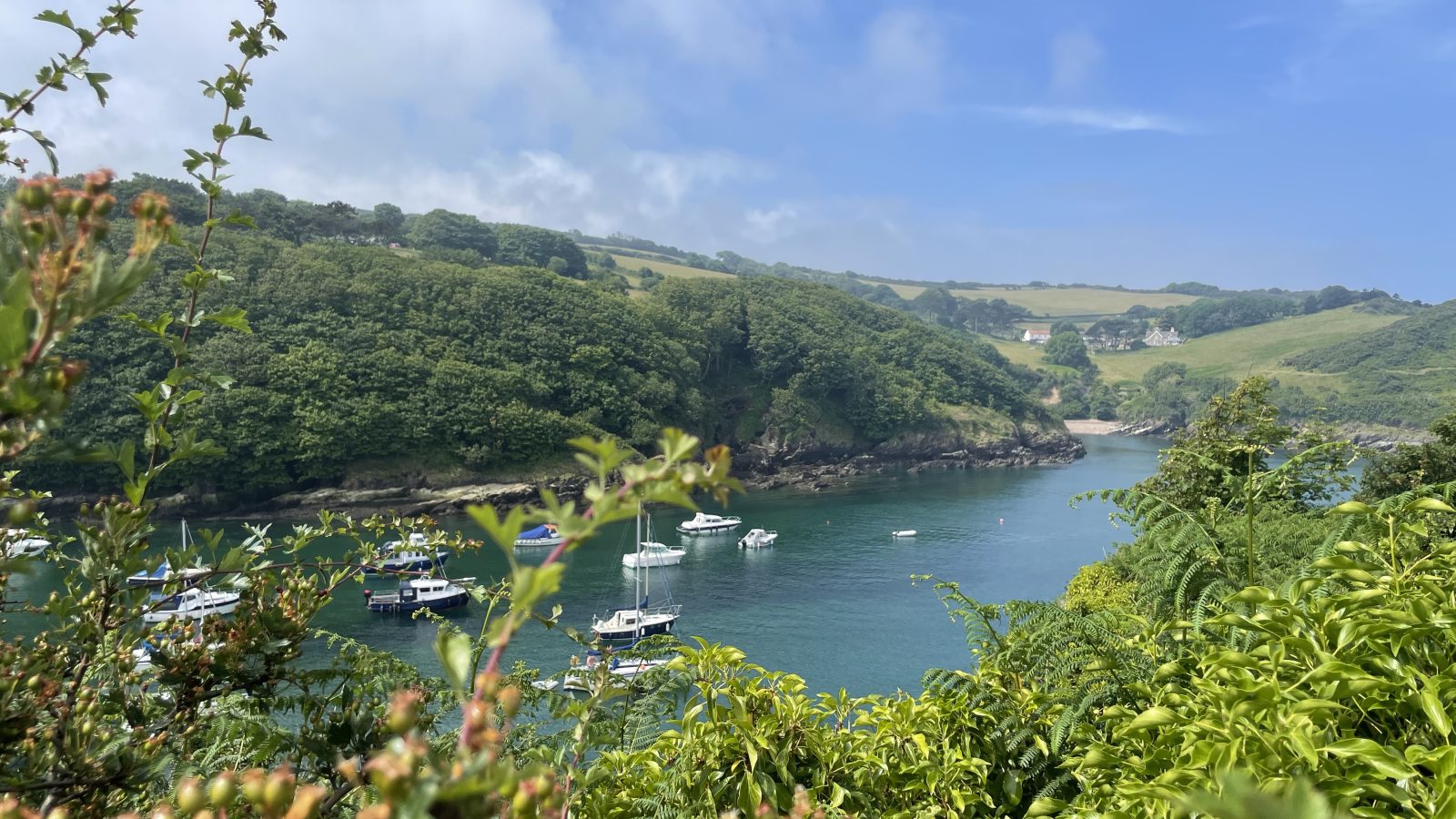 A scenic view of a tranquil cove with boats moored in the clear blue water, surrounded by lush, green hills. The foreground features leafy branches and pinkish buds, while the background is filled with rolling hills under a blue sky dotted with light clouds—a perfect spot for holidays.