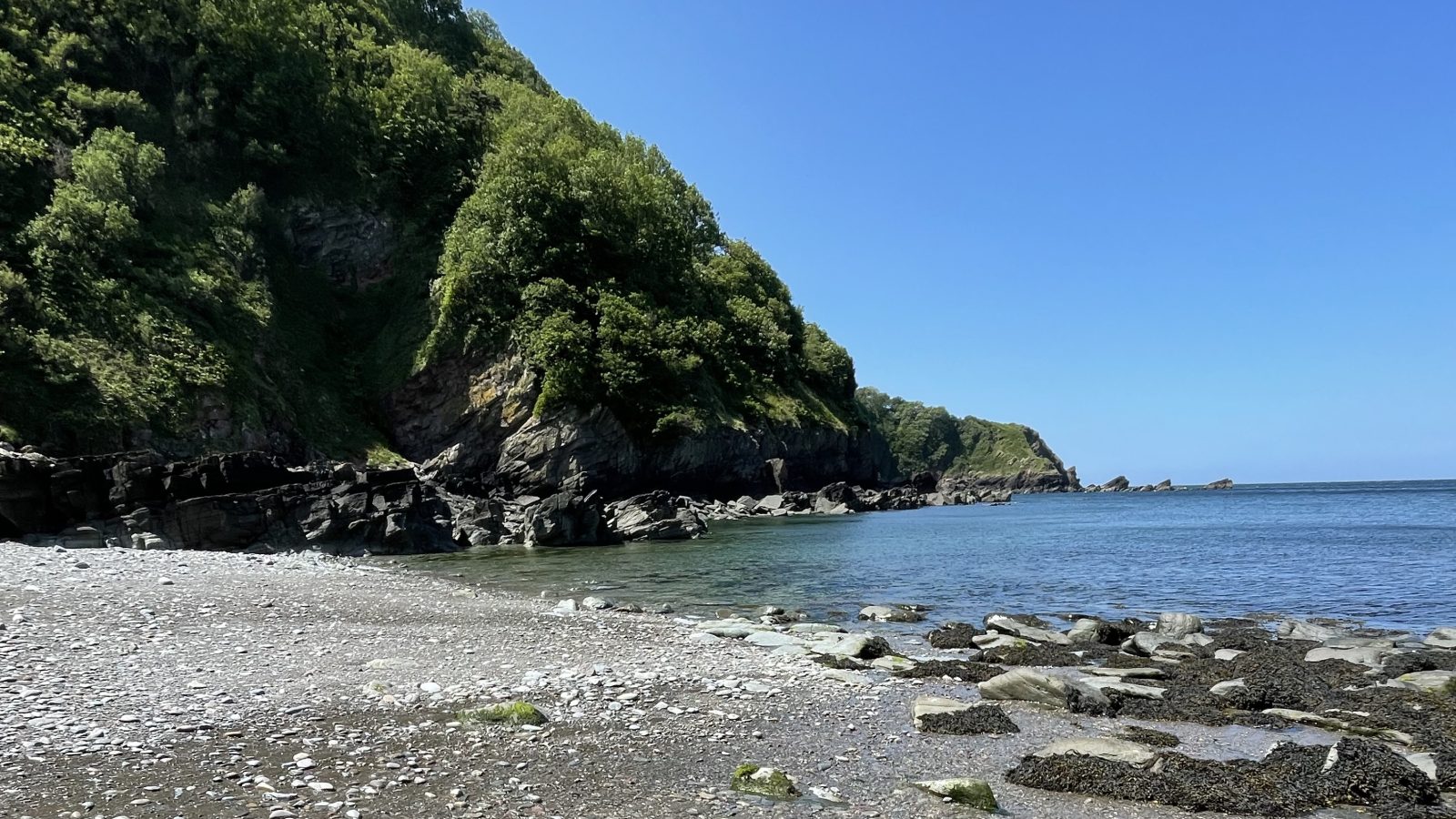 A serene coastal scene features a pebbly beach with scattered rocks and seaweed. The calm sea meets the shore under a clear blue sky, perfect for Moor and Sea Holidays. Lush green trees and vegetation cover the rolling hills in the background.