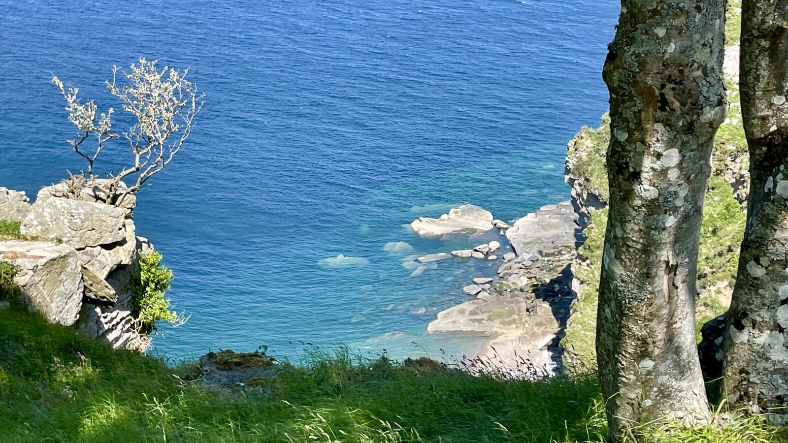 A serene coastal scene featuring a view through trees of the turquoise and deep blue sea, rugged rocks, and a small, grassy cliff. The sunlight illuminates the vibrant colors, lending a peaceful ambiance to this ideal holiday landscape.