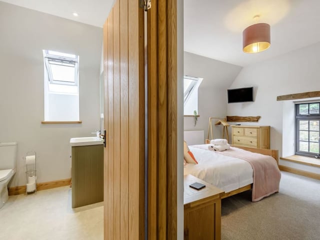 A modern bedroom and bathroom divided by a wooden door evoke a rustic barn charm. The bedroom features a double bed with white linens and a pink throw, two skylights, a TV, and wooden furniture. The bathroom, visible through the open door, showcases a toilet and sink under a skylight.