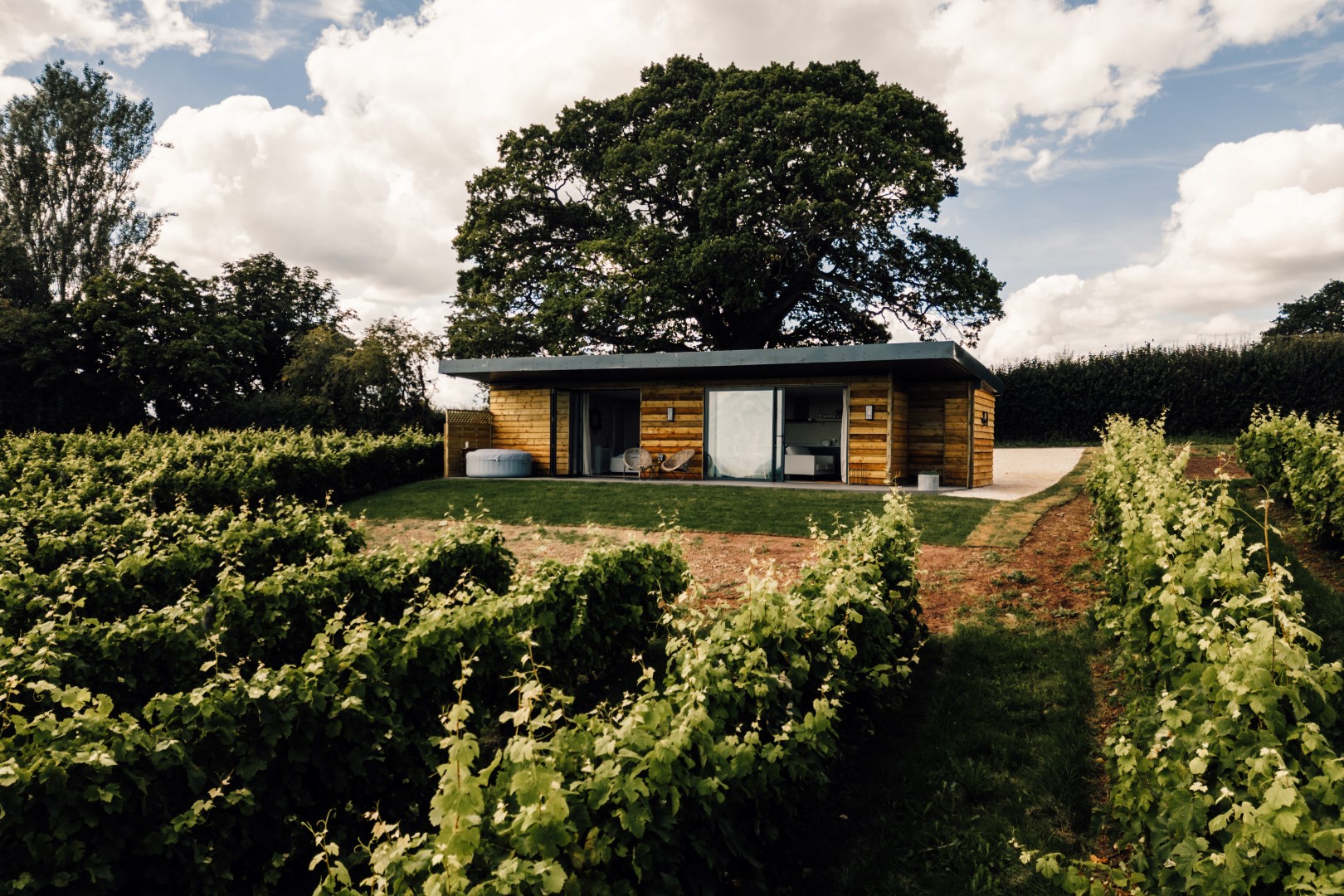 A modern, single-story lodge with large glass windows is surrounded by lush vineyards and greenery. The wooden exterior of the house and the large tree behind it enhance the natural setting. The sky is partly cloudy, creating a serene and peaceful atmosphere.