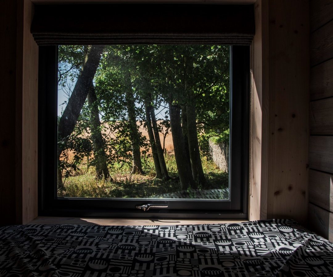 A window view at Cambo Estate reveals sunlight filtering through trees, casting intricate shadows on a patterned surface. This serene scene invites thoughts of off-grid travel, where nature's beauty takes center stage in tranquil retreats.