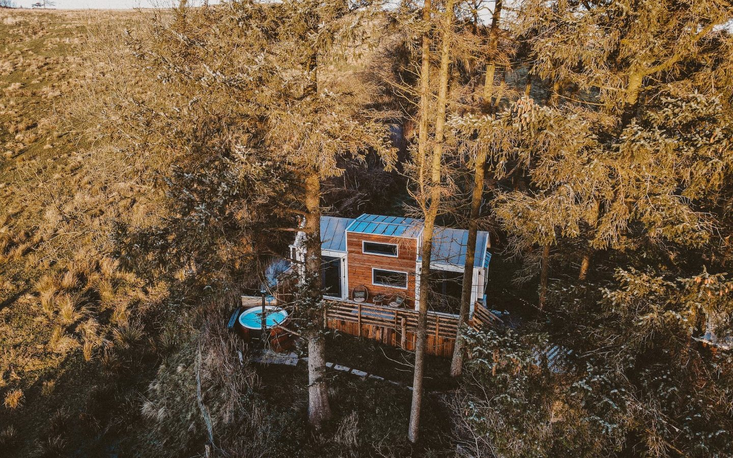 The Tiny House in the Woods