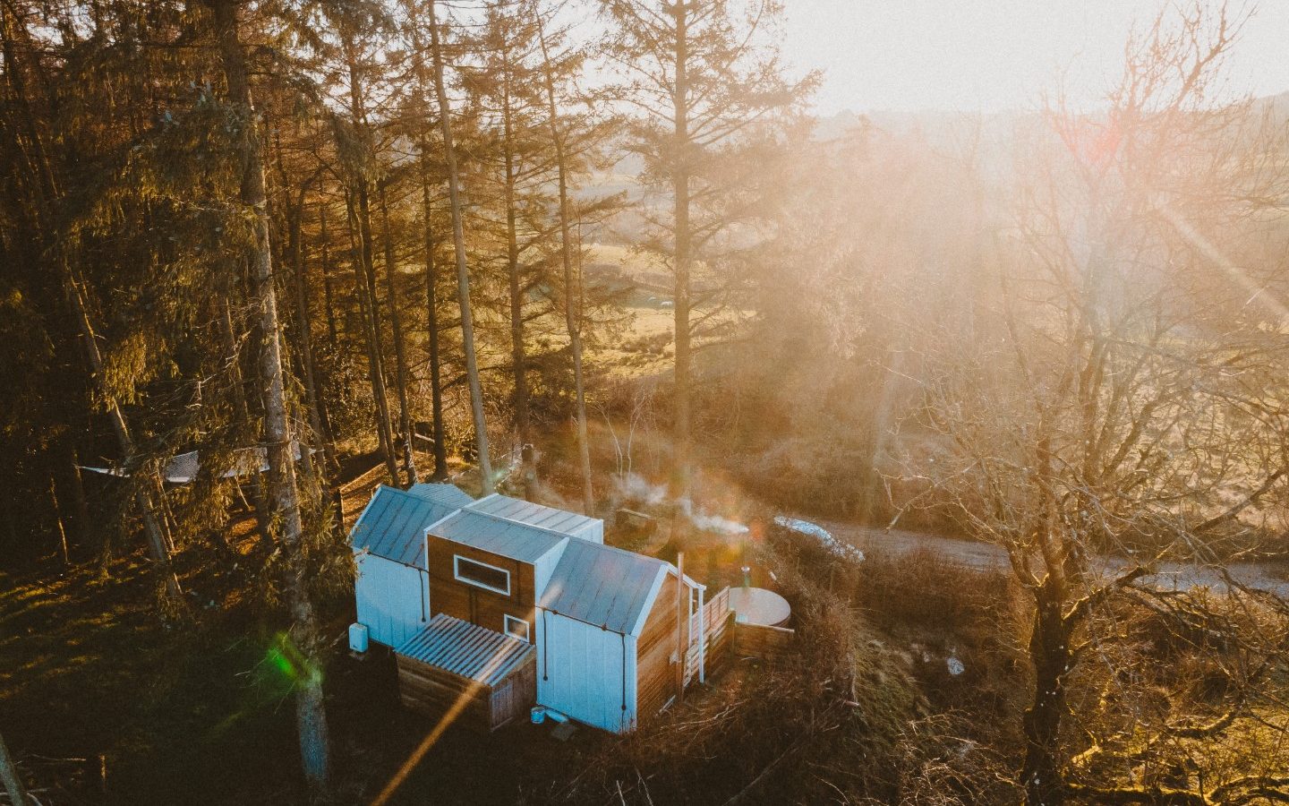 A tiny house with a metal roof is nestled among tall trees in a sunlit forest clearing, offering the perfect retreat into the woods.