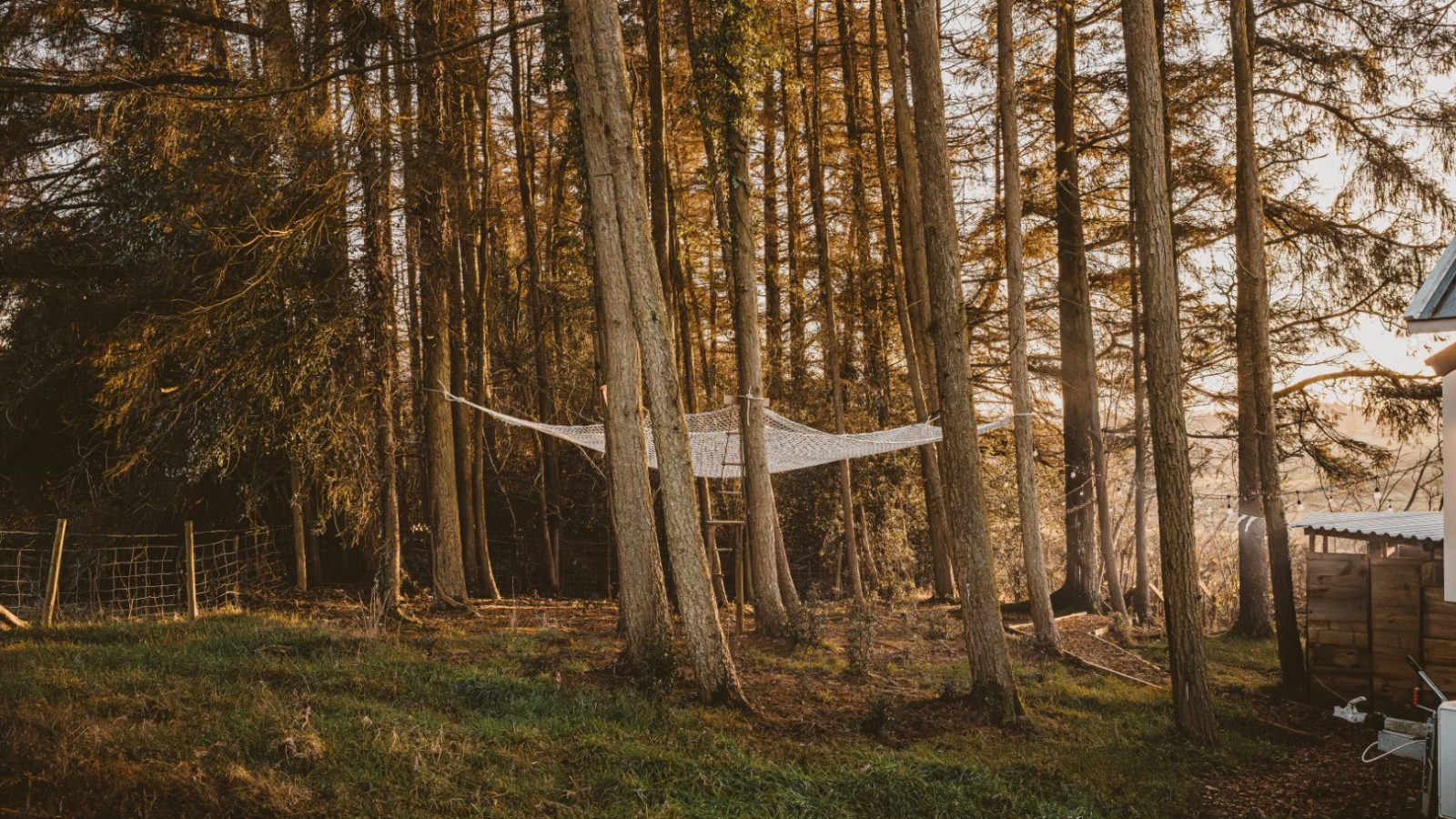 A white hammock hangs between tall trees in a sunlit forest, with a charming tiny house visible on the right.