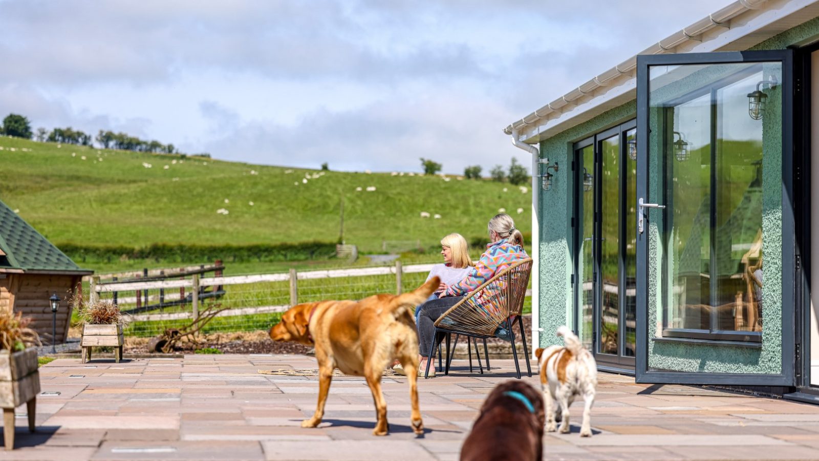 Two people sit on chairs on a patio next to a modern glass door, enjoying a view of the green, hilly landscape. Three dogs—one light brown, one white, and one dark brown—walk around the patio. Sheep graze in the distance near a wooden fence at Waen Farm House.