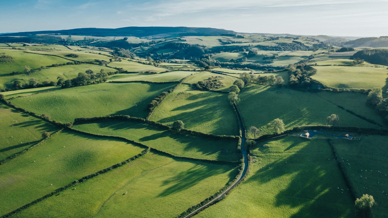 Aerial view of Knighton's picturesque countryside featuring extensive, lush green fields divided by hedgerows and dotted with trees. Rolling hills stretch into the distance under a clear blue sky. Scattered sheep graze near Wigwam Holidays cabins, and a few small buildings are visible.