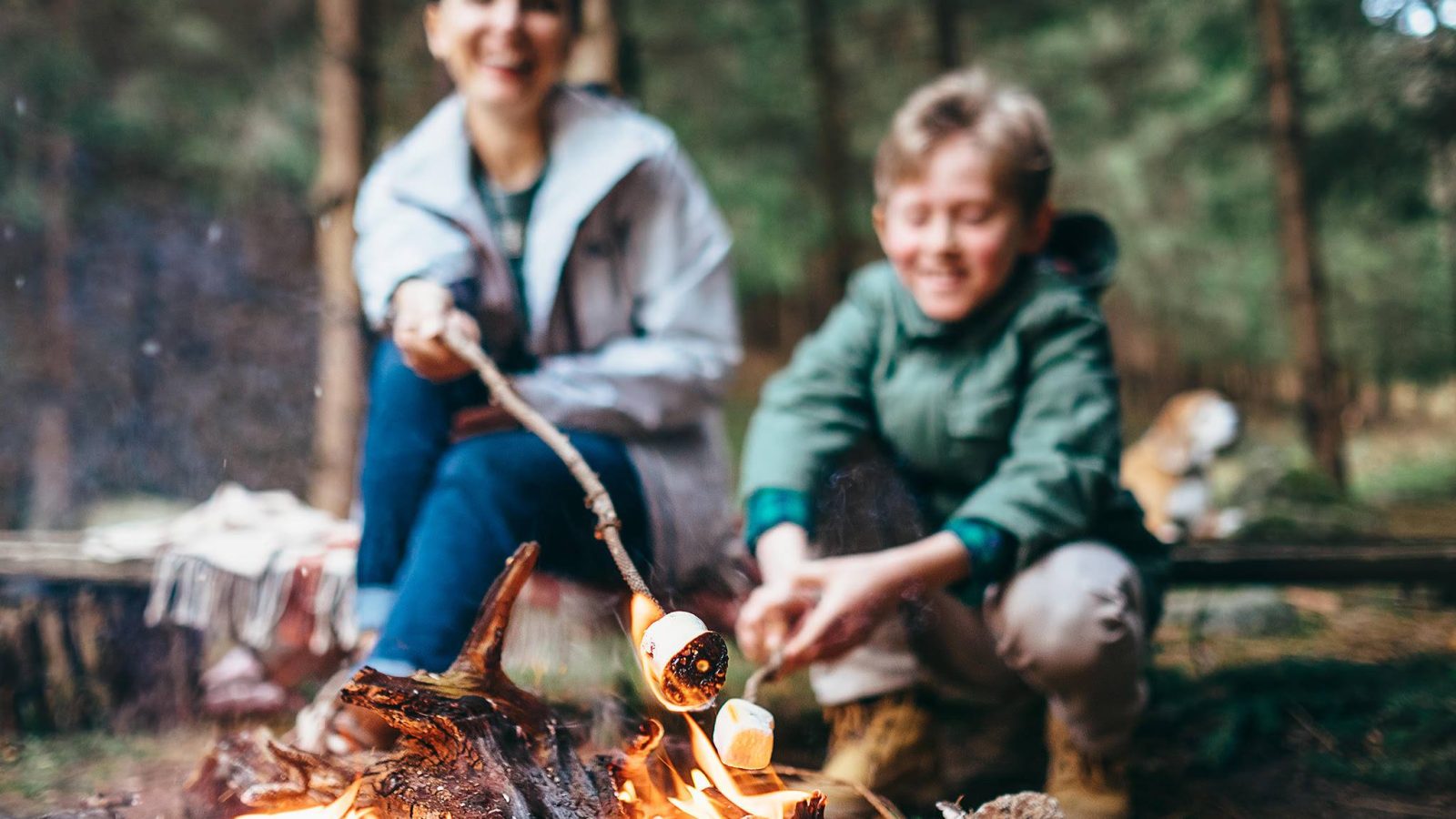 A woman and a child roast marshmallows over a campfire in a forest setting, near their safari tent. Both are smiling and appear to be enjoying the outdoor activity. A dog is visible in the background, seated near them. The scene is relaxed and cozy.