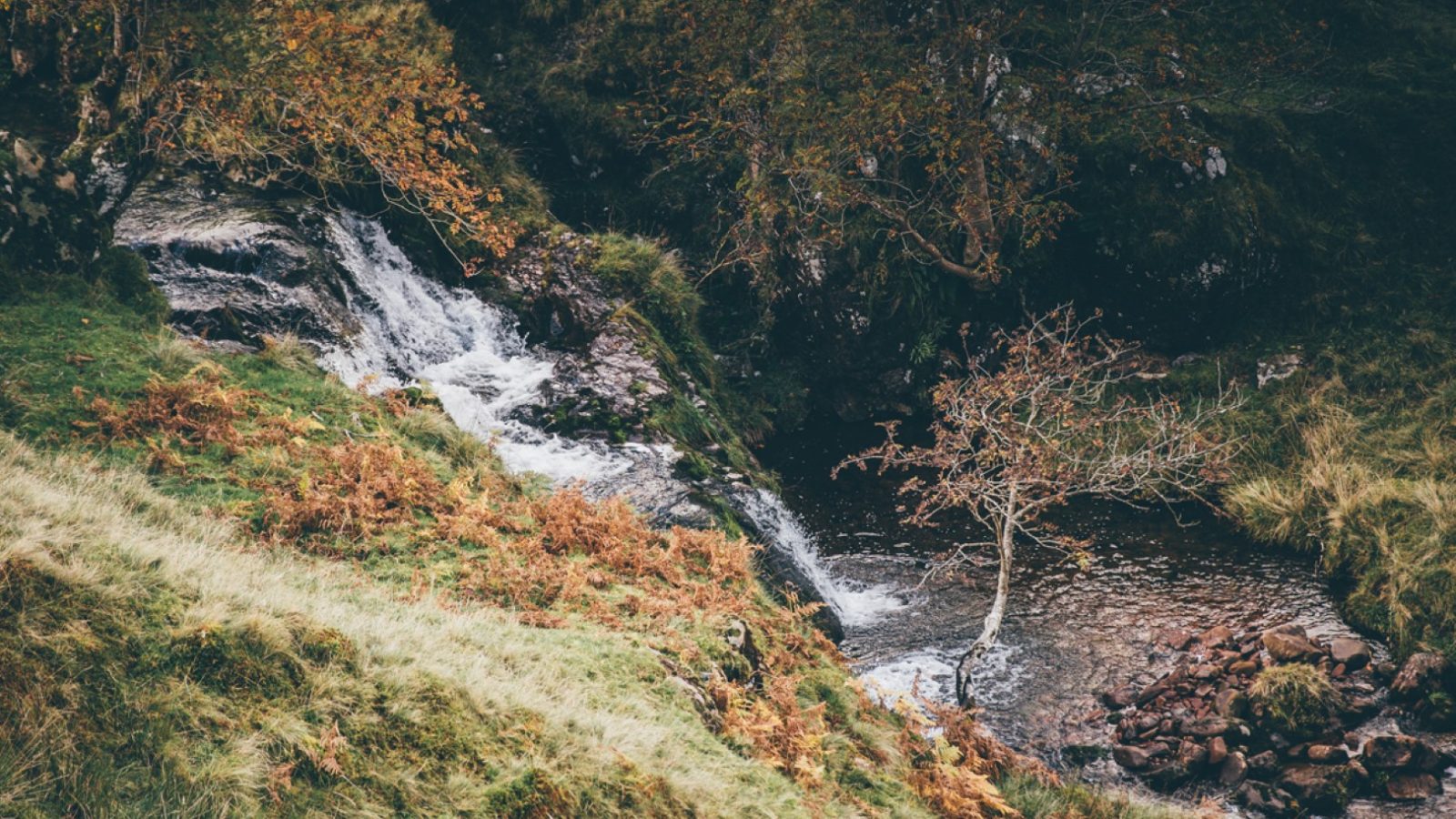 A small waterfall cascades down a rocky hillside in Nantseren, surrounded by autumn foliage. The stream flows into a calm pool of water at the base, bordered by lush grass and orange, brown, and green plants. Trees with fall-colored leaves stand in the background.