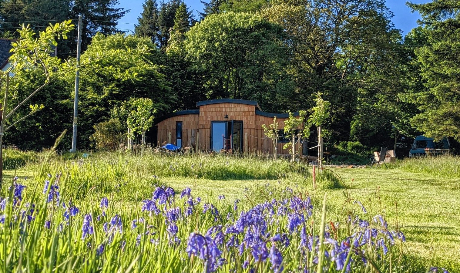 A small wooden cabin, reminiscent of those along the Forgotten Coast, is nestled among lush green trees, with a lawn filled with vibrant purple-blue wildflowers in the foreground. The scene is bathed in bright sunlight under a clear blue sky.