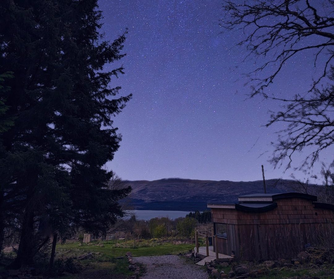 Under the vast night sky filled with stars, a large tree stands majestically to the left while a small wooden cabin on the right whispers tales of the Forgotten Coast. In the background, a mountain range and body of water shimmer under the starlit sky, evoking timeless serenity.