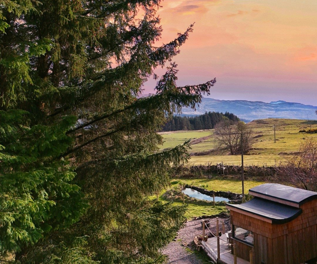 A picturesque landscape showcases a tall evergreen tree on the left beside a small wooden cabin, reminiscent of those along the Forgotten Coast. A winding river meanders through as the vibrant sky glows in shades of pink, orange, and purple against distant hills and trees.