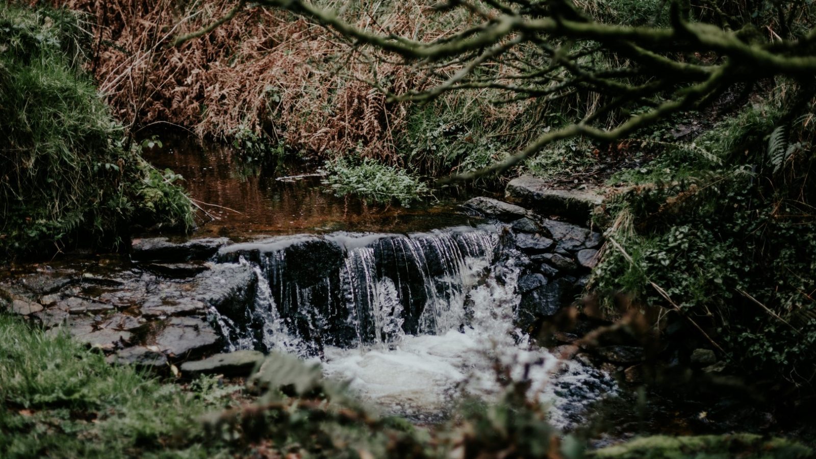 In the heart of Little Menherion, a small, serene waterfall cascades over rocks in a lush, green forest. Moss-covered branches overhang the scene, while ferns and grass encircle the water, crafting a peaceful, natural atmosphere.