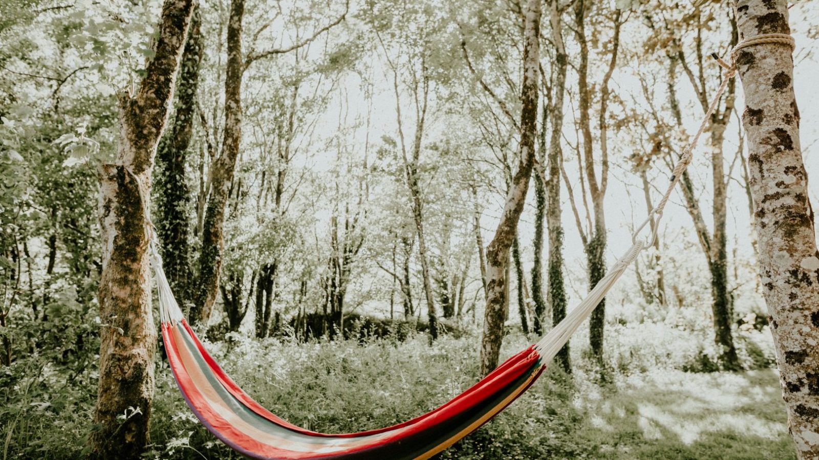 A colorful hammock is hung between two trees in Little Menherion's sunlit forest clearing. The area is lush with green foliage and dappled sunlight filtering through the leaves, creating a serene and inviting atmosphere.