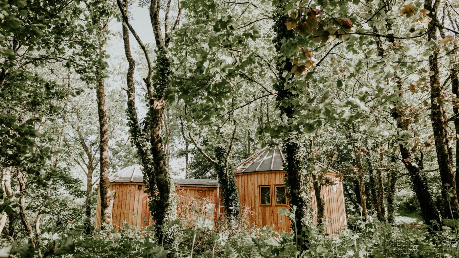 A small wooden cabin with a round shape is nestled among the lush green trees of the Little Menherion forest. Sunlight filters through the leaves, creating dappled shadows on the ground, enhancing the serene and natural setting.