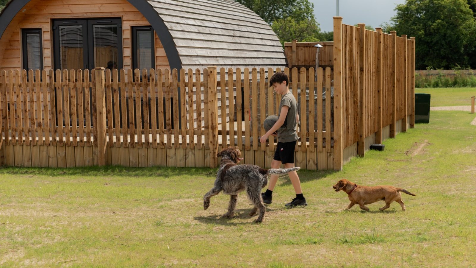 A person strolls on the grass alongside two dogs near Partridge Retreat, a wooden cabin with a fenced yard. One dog is large and gray, the other small and brown. The cabin's curved roof complements the backdrop of trees and a cloudy sky.