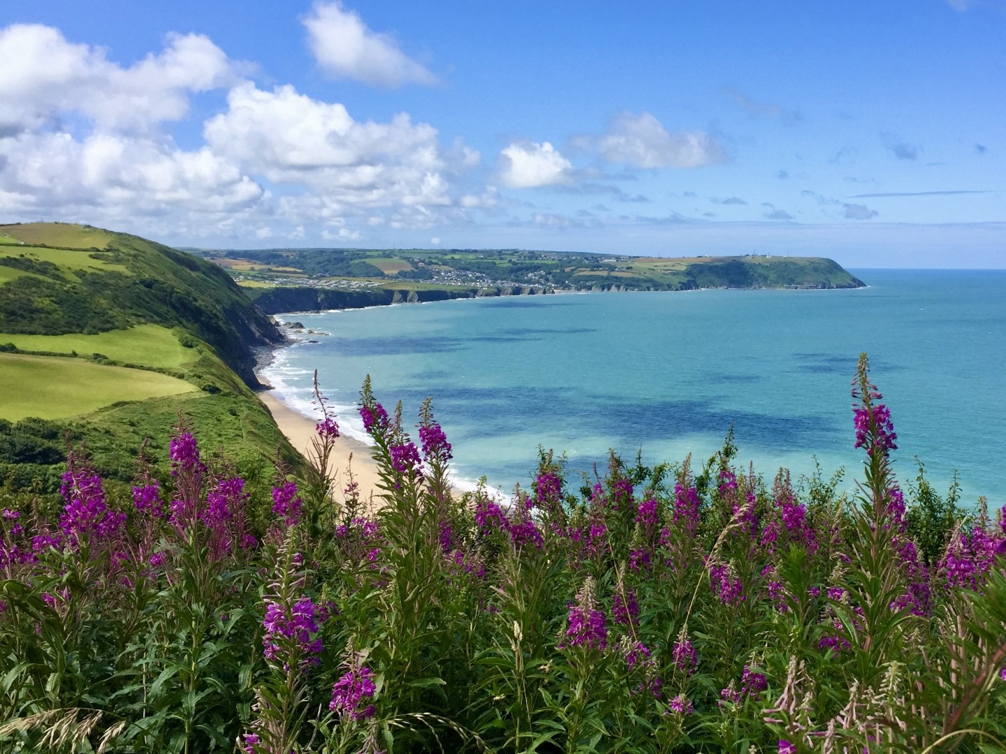 Discover the beauty of UK coastlines with a family travel adventure. Explore coastal landscapes adorned with purple flowers, green cliffs, and sandy beaches, all while enjoying the calm blue sea.