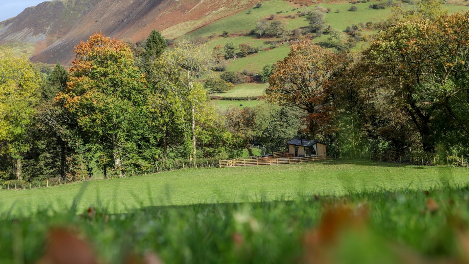 A small cabin, part of the charming Gwyliau Pennant Holidays, is nestled among trees in a grassy field with rolling hills in the background under a clear sky.