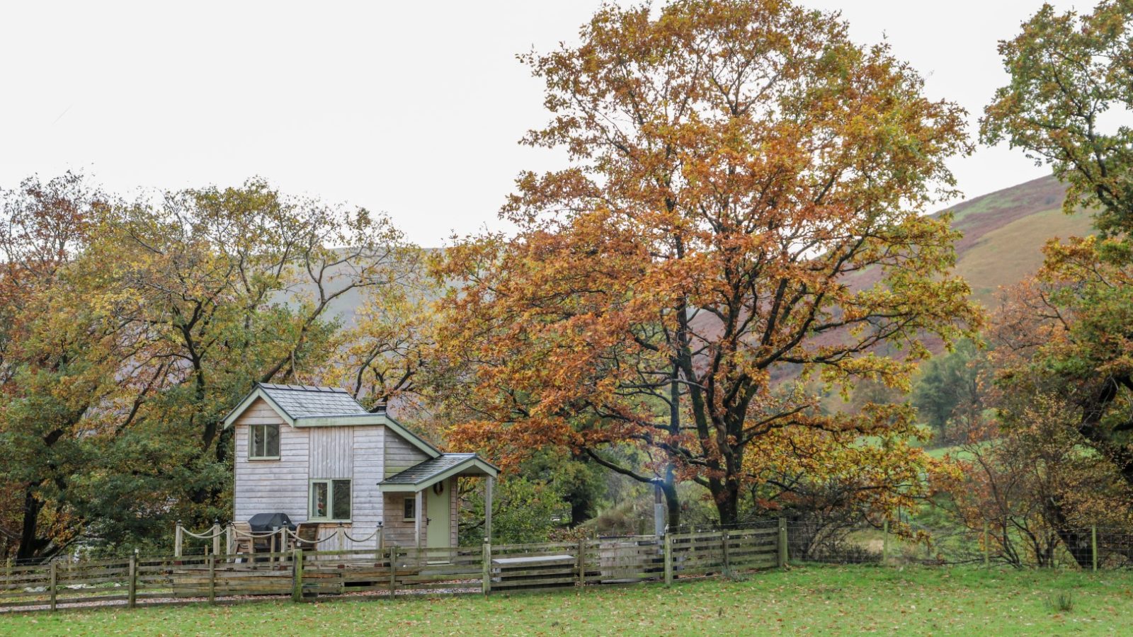 A small white house with a gray roof sits amidst trees adorned with autumn foliage, behind a wooden fence and lush green grass, offering the perfect retreat for Gwyliau Pennant Holidays.