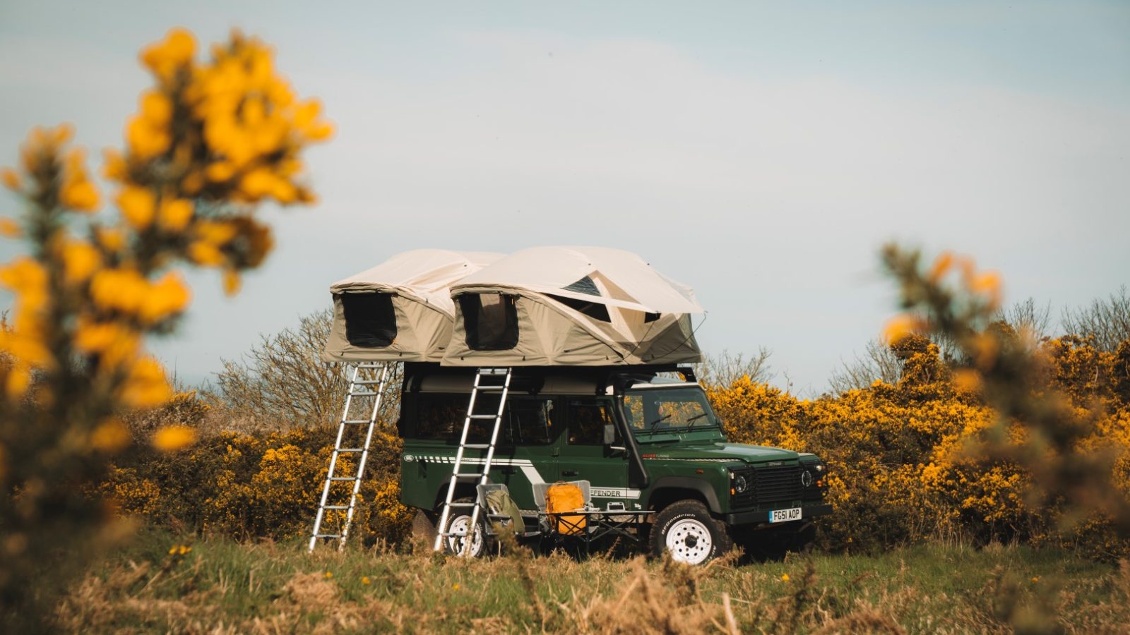 A LandyCampers off-road vehicle with a rooftop tent rests in a grassy area, enveloped by vibrant yellow flowering bushes under the clear sky.