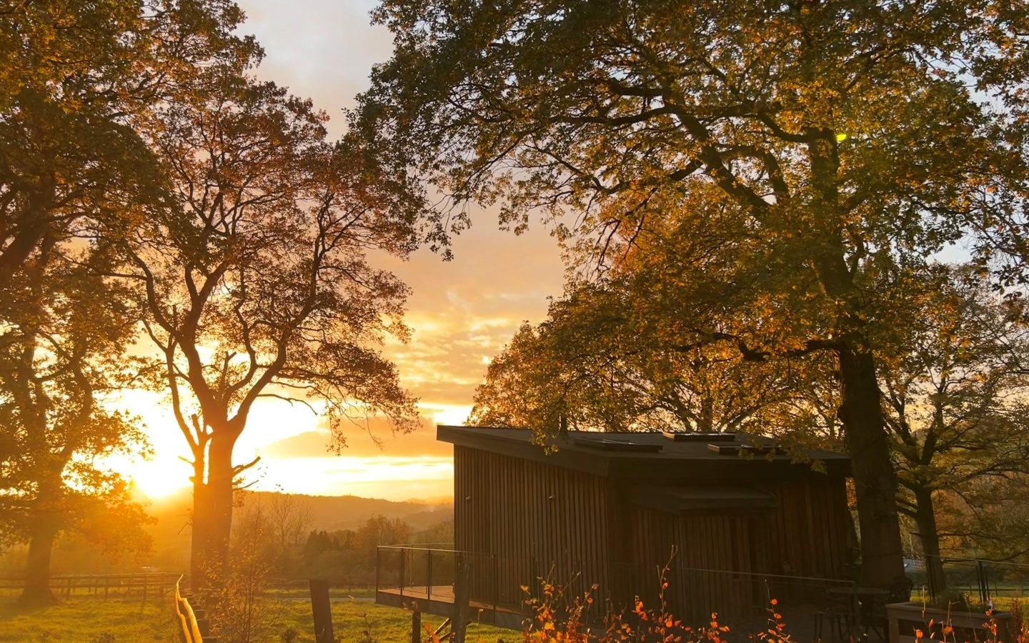 A small wooden cabin is nestled among the towering TreeTops with autumn leaves, set against a vibrant sunrise in the rural landscape of Orcop.