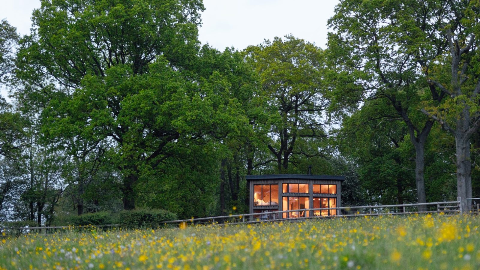 Nestled amidst the tall trees and a field of wildflowers, Orcop TreeTops features a small cabin with illuminated windows.