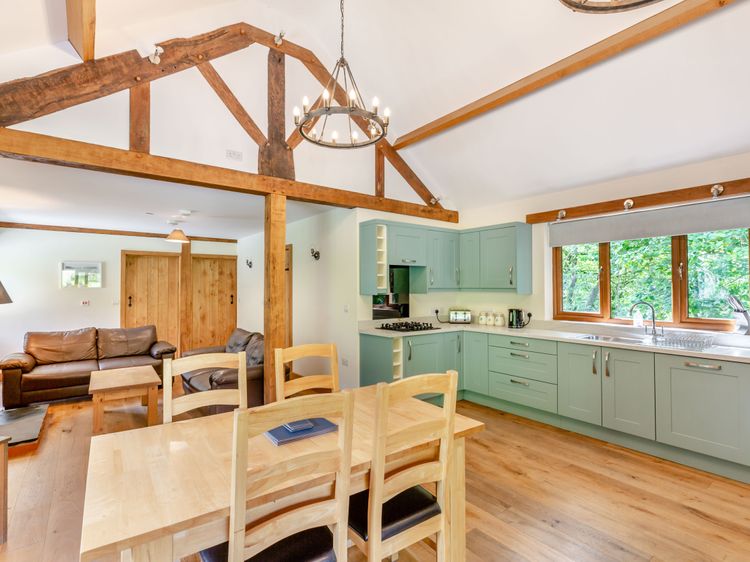 Experience the charm of Ploony Holidays in Wales with an open-plan kitchen and living area featuring rustic wooden beams, a dining table, and green cabinets. Enjoy serene views of greenery through the window, creating a perfect blend of comfort and nature.