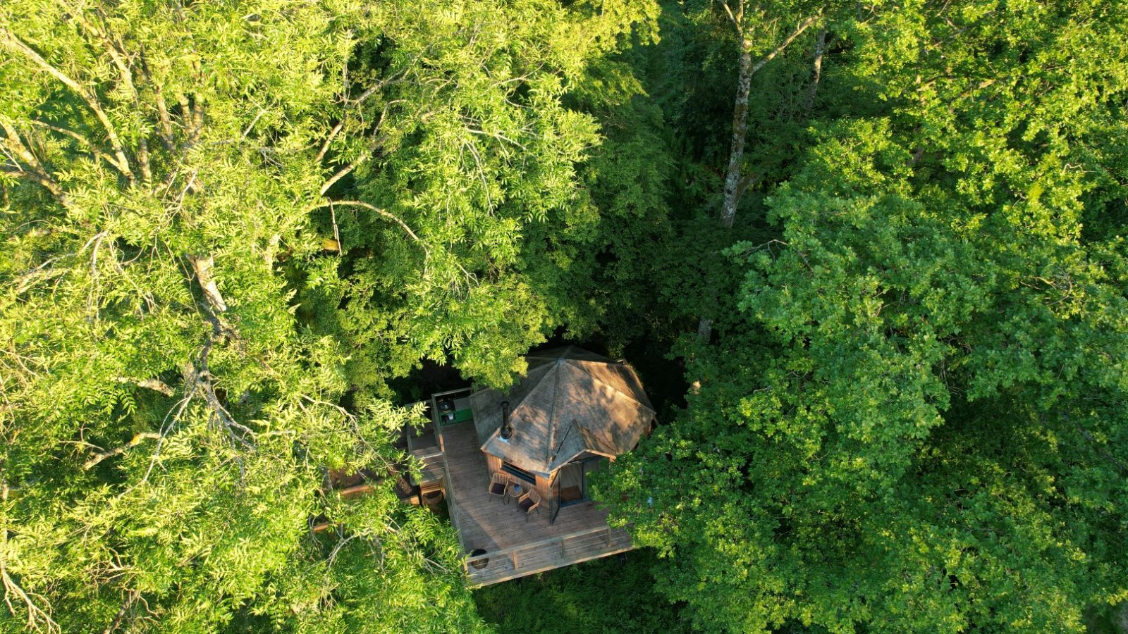 An aerial view of a cozy wooden cabin, reminiscent of a treehouse, with a deck nestled amidst dense green foliage in a forest setting.