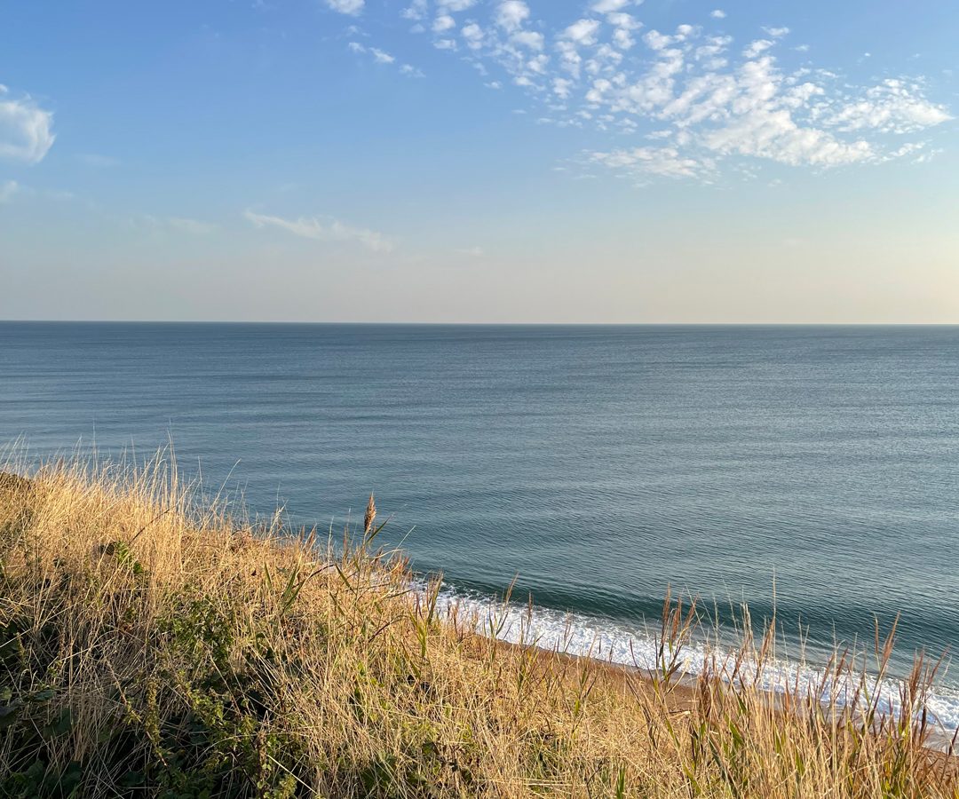 View of the ocean from Blackbird Cottage's grassy cliff, under a clear sky, with gentle waves approaching the shore.