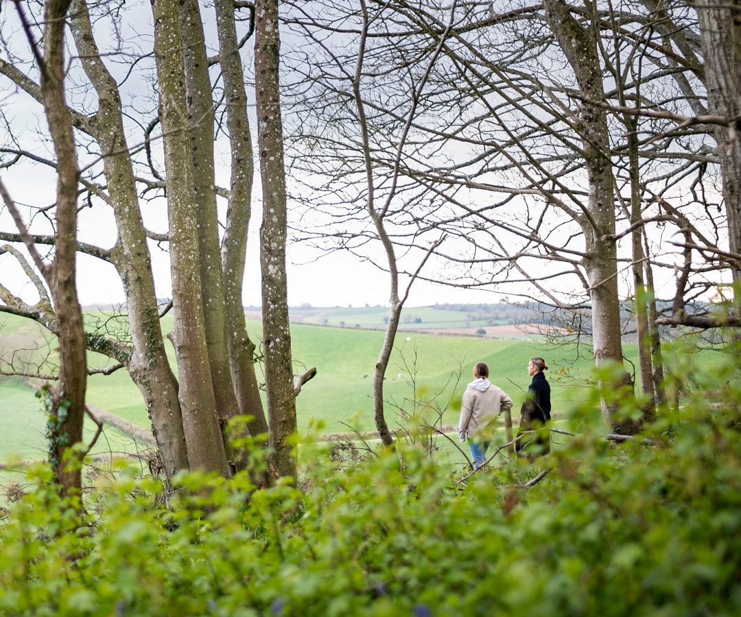 Two people strolling through a wooded area near Blackbird Cottage, trees in the foreground and open fields beyond.