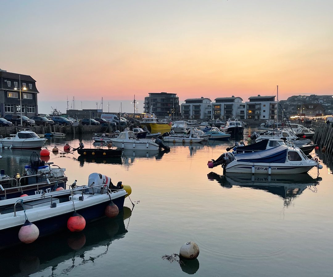 Boats docked in a calm harbor at sunset, with Blackbird Cottage and other buildings in the background, as a bird flies by.