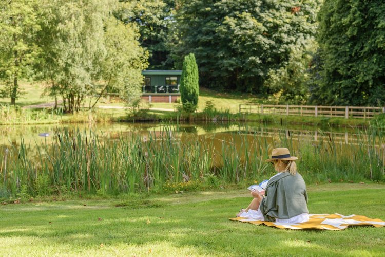 A person is sitting on a blanket near a pond in Rowley Meadow, immersed in a book. The serene scene is surrounded by verdant trees and lush grass, creating a perfect retreat for quiet reflection.