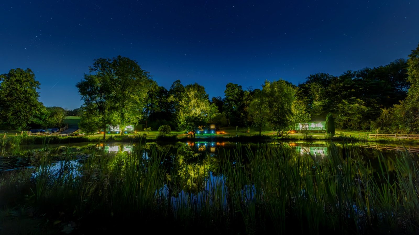 A nighttime landscape with a pond reflecting trees and lights in Rowley Meadow, surrounded by greenery under a starlit sky.