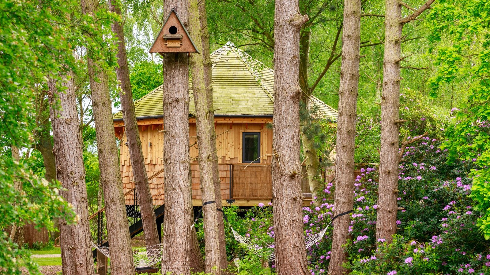 Treetop hideaway with a conical-roofed wooden treehouse, hammock-strung trunks, and a birdhouse perched overhead.