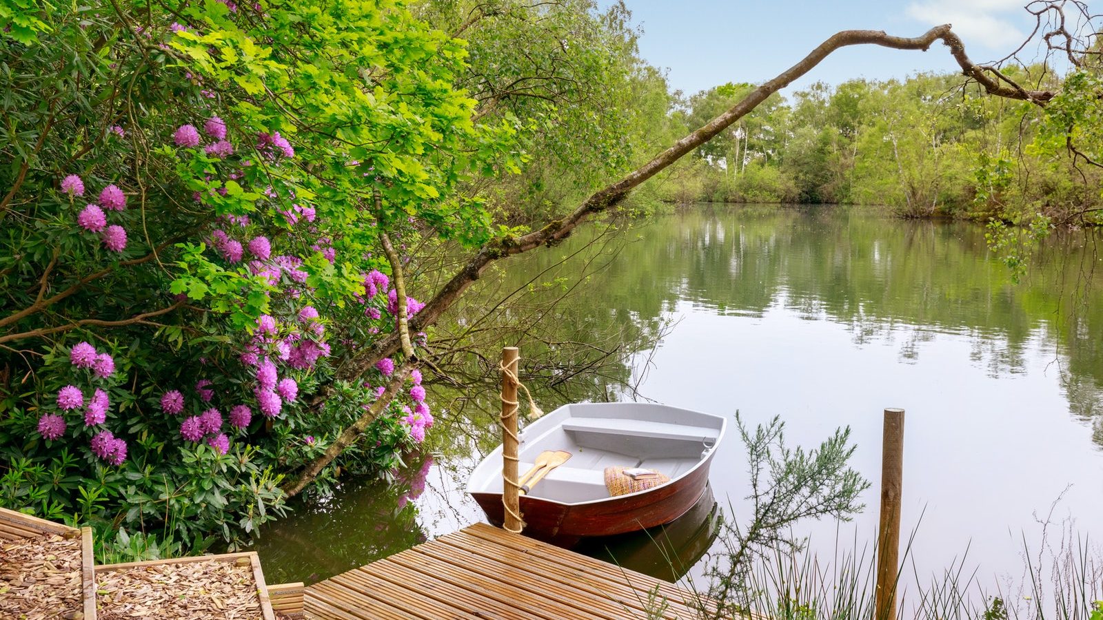 A small wooden dock at the Treetop Hideaway leads to a calm river with a moored rowboat, framed by lush greenery and purple flowers.