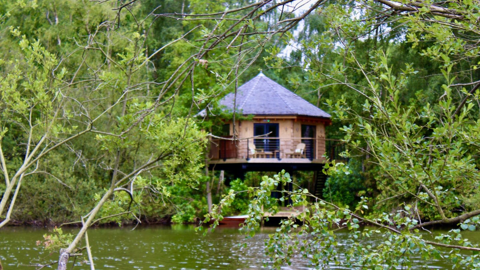 A treetop hideaway: a small wooden cabin on stilts over a lake, enveloped by dense green foliage and forest trees.